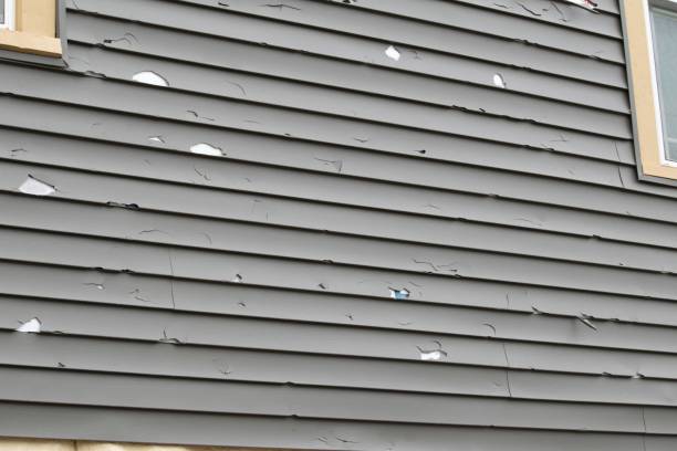 Best Engineered Wood Siding  in Kittery Point, ME